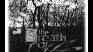 Watch Breath Of Life The Soul video