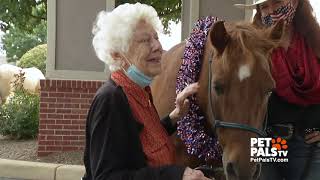 Horses of Hope brings smiles