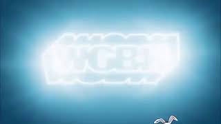 Wgbh Kids 2010