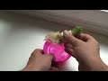 Como Germinar Un Puerro Sin Semilla || Experimento || La Huertina De Toni Como Germinar Un Puerro Sin Semilla || Experimento || La Huertina De Toni