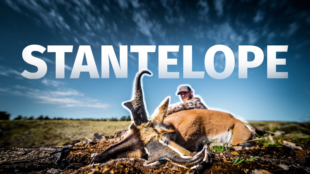 Utah Muzzleloader Antelope | THE ADVISORS: STANTELOPE