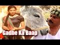 गधे  का बाप | Gadhe Ka Baap | A Funny Story About A Man!