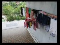 image Kriminal Pencuri Pakaian Dalam Wanita Tertangkap Cctv