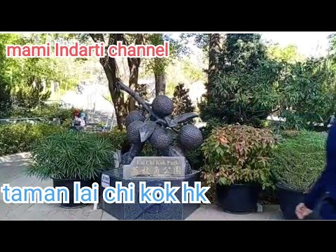 taman lai chi kok luas dan indah!?? liburan gaes💓💓