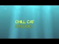 Chill Cat Interview Episode 1