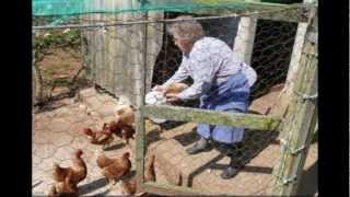 Watch Aniceto Molina Ano Viejo video