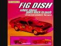 Fig Dish - Dare You To Vanish
