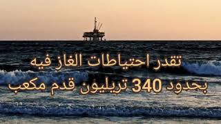الصراع حول غاز المتوسط