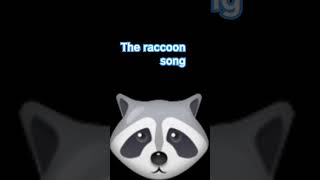 The Raccoon Song