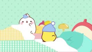 A night with Molang and Piu Piu | Molang Special - Cartoons for kids