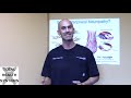 Clue For Neuropathy Relief