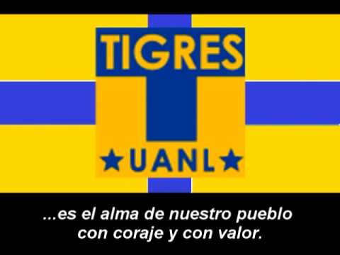 Tiger Video