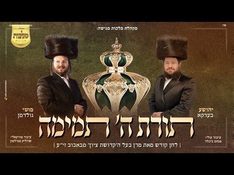 מקהלת מלכות, שייע בערקא, מוטי גולדמן, אברימי בלטי - תורת ה' תמימה, באבוב | Malchus Choir
