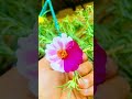 Portulaca/Moss Rose/#flower #followmygarden#Grafting#Plants#Mossrose#Portulaca#Beautifulflower#