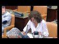 Irene Lozano: "Una mejor gestión evitaría que los recortes recayesen sobre los miembros de las FFAA"