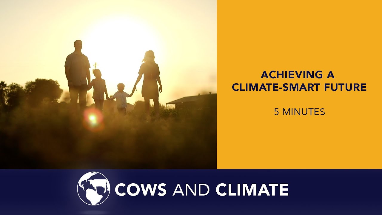 Cows and Climate