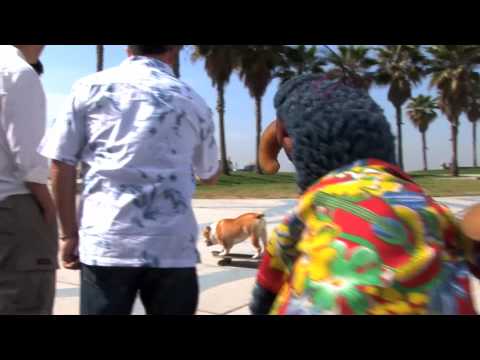 The Muppets: Rolling with the Skateboarding Dog!
