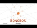 Barcelona - Animalànima - Bonobos