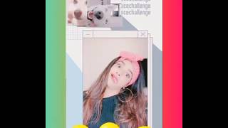 Best face challenge video | musically or tiktok funny video 2018 | RSR Ltd