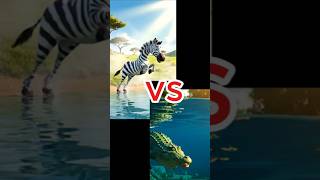 Crocodile Vs. Zebra