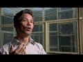 Scientist Speaks Chimp -  Extraordinary Animals