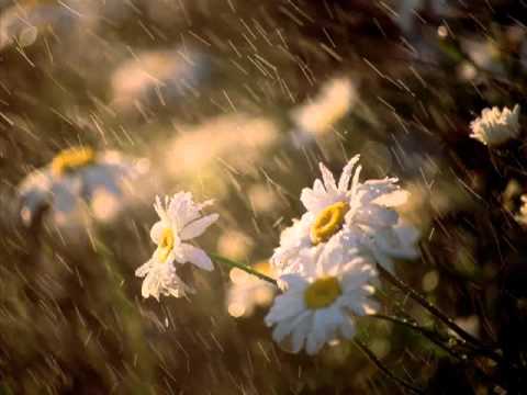 RHTDM- theme.wmv.flv