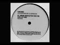 Chikinki - Assassinator 13 (Ruede Hagelstein Remix)