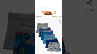 Hanes Toddler Boys Potty Trainer Underwear, Boxer Briefs & Briefs Available, 6-Pack