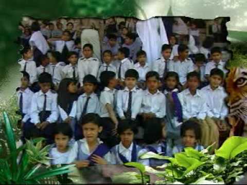 TIGER biscuit activation - kis ka tiger jeetay ga
