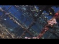 25 Stunning Sunken Ships That You Ll Want To Visit 25 Stunning Sunken Ships That You Ll Want To Visit