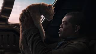 Goose Scratches Nick Furys Eye - Captain Marvel 2019 Hd