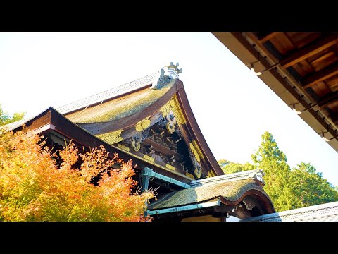 泉涌寺 京都の伝統美（4K）カエデ・エリシア京都 caede|L’ELISR KYOTO [Mitera-Sennyu-ji, Legacy of Kyoto 4K movie]