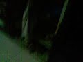 image Mesum Di Rumah Eh Malah Gelut