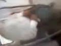 Delhi Metro Scandel Mms Cctv Footage images Delhi Metro Scandel Mms Cctv Footage