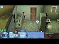 The Sims
