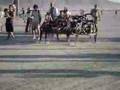 Burning Man - Mondo Spider