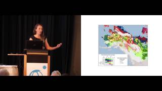 Permafrost plenary talk