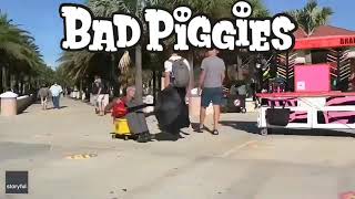 Angry Birds Bad Pigges Meme