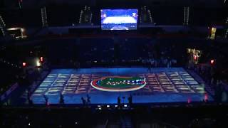 Florida Gators Women's Basketball Court Projection 🐊⎥2018