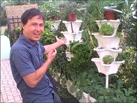 ... Hydroponics Tower Garden - Even Beginners Can Grow Food - YouTube