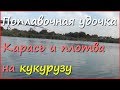 Ловля плотвы и карася на кукурузу в сентябре Ловля плотвы и карася на кукурузу в сентябре