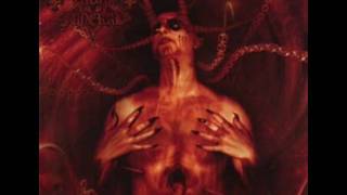 Video Armageddon finally comes Dark Funeral