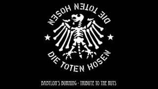 Watch Die Toten Hosen Babylons Burning video