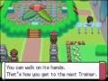 Pokemon Platinum 08:Gym Leader Gardenia