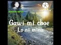 Gaw Nyingthuen by Dechen Pem lyrics video @tsheringcarter