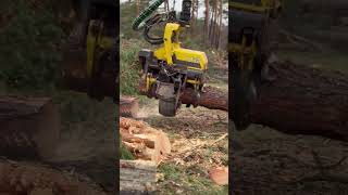 How To See The Cut Of The Harvester 1270G #Automobile #Harvester #Viral #Johndeere #Trending #Tree