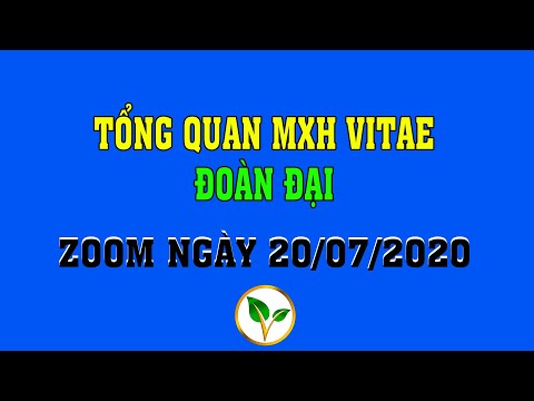 Vitae | Tổng Quan Mạng Xã Hội Phân Quyền Vitae - Đoàn Đại