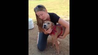 Sunny-Blues Angels Rescue