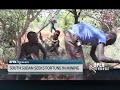 South sudan