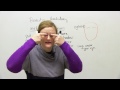 Learn English Vocabulary: Beauty and Makeup
